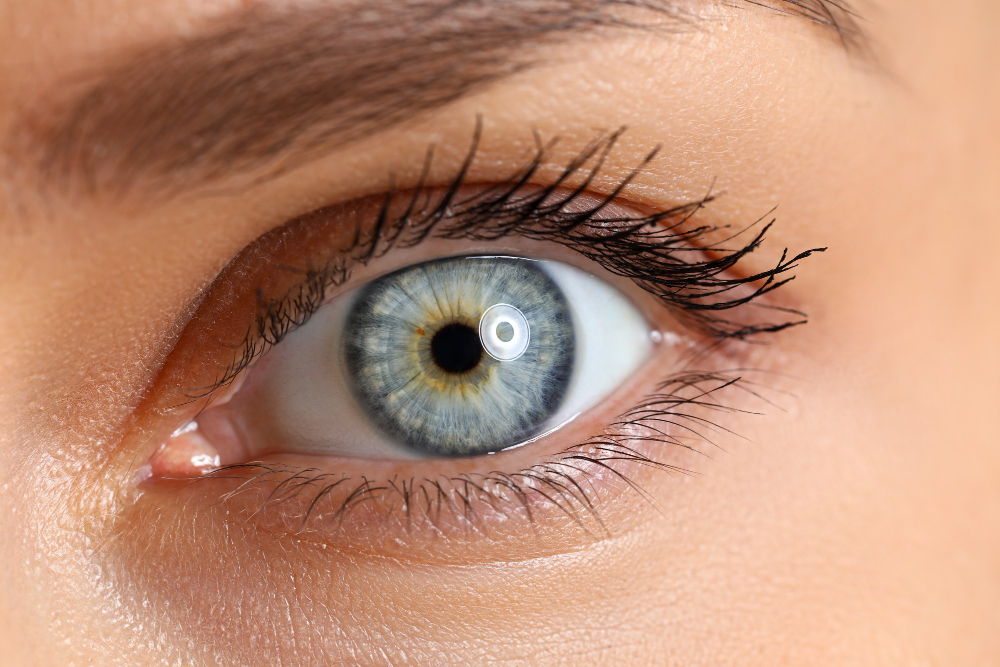 Eye Exam